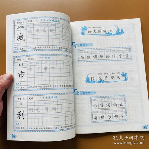 提的拼音和组词
