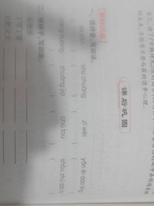 偷字怎么组词