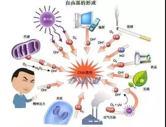 肝脏涨怎么组词