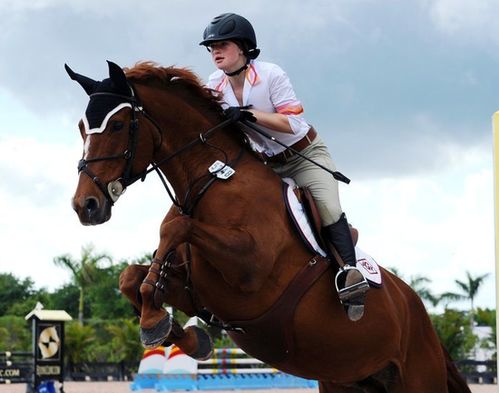 马匹的疲怎么组词