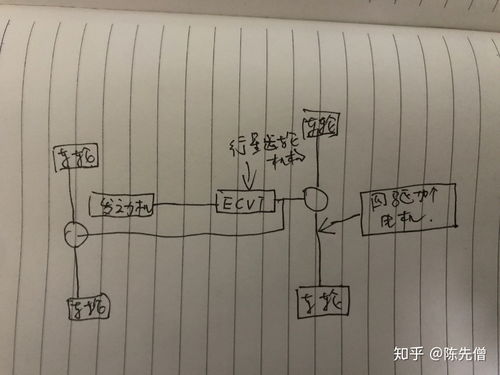 涨肚张怎么组词