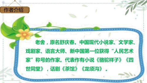 棵组词怎么写