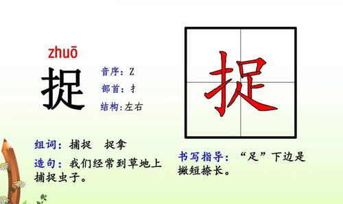 提偏旁结构组词怎么读