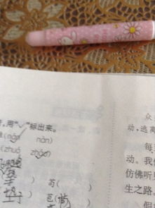 苟要怎么组词