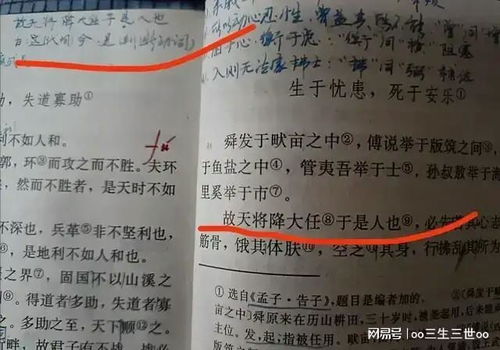 线现怎么组词