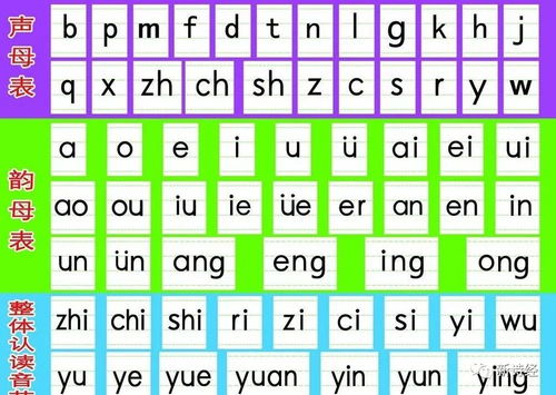 猫头鹰拼音组词怎么写