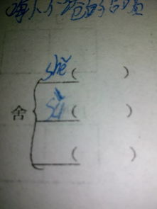 含有几个读音怎么组词
