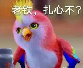 不得了的鸟怎么组词