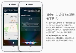 siri可以怎么组词