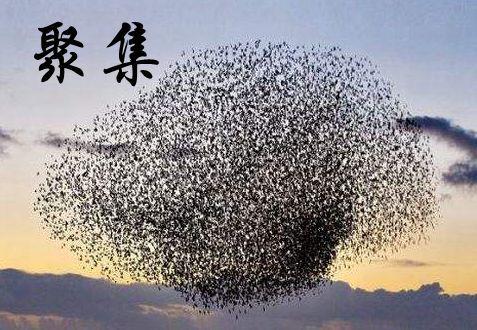 聚是怎么组词