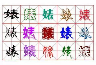 贝壳的贝怎么组词