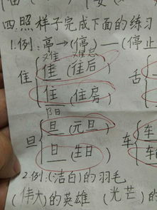 秀偏旁是什么怎么组词