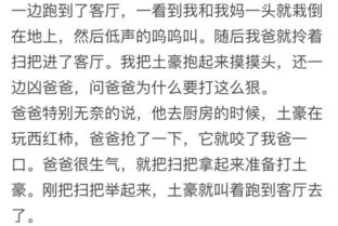 知乎的戏怎么组词