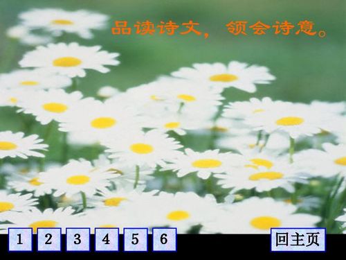 枝条怎么组词直条