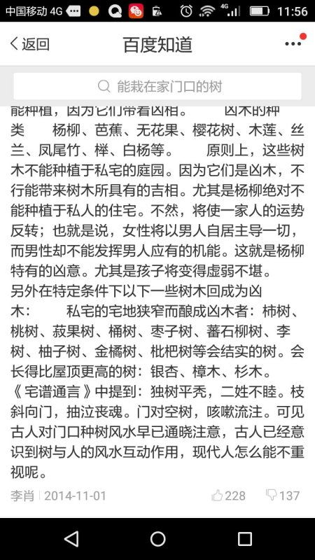 播放树怎么组词