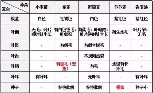 巇罅隙藜怎么组词