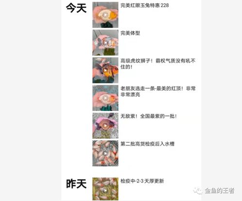 寿能怎么组词