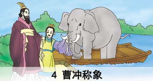 曹冲称象的称怎么组词