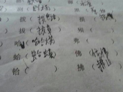 字画怎么组词