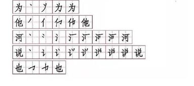 观察道观怎么组词