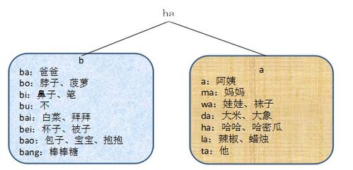 观察道观怎么组词