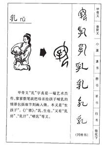 奶奶的乳怎么组词