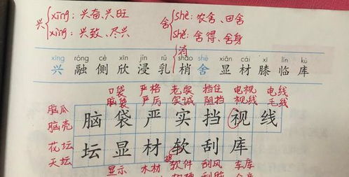 什么兴怎么组词