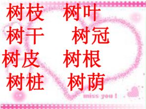 树林的树字怎么组词啊
