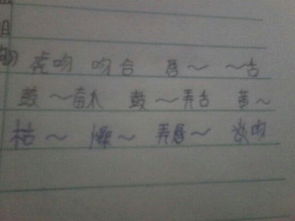 狼上面去个面怎么组词
