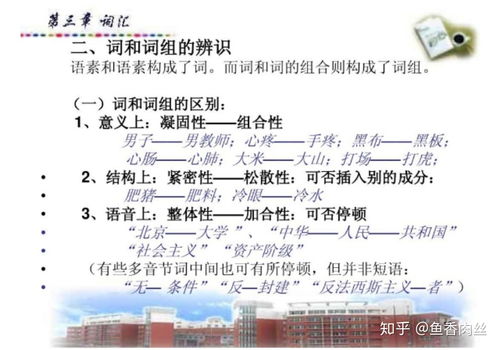 什么的猫还能怎么组词