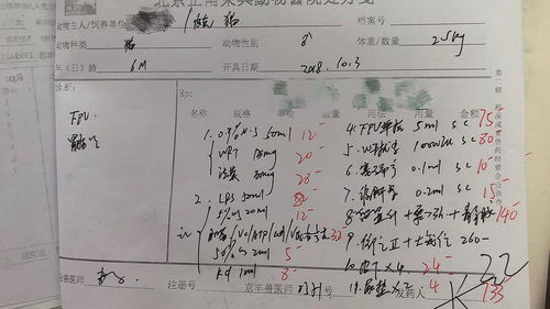 什么的猫还能怎么组词
