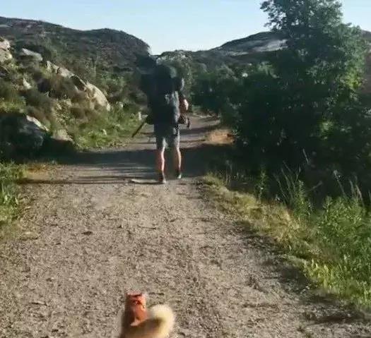 馋猫的馋还能怎么组词