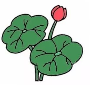 荷叶的和怎么组词