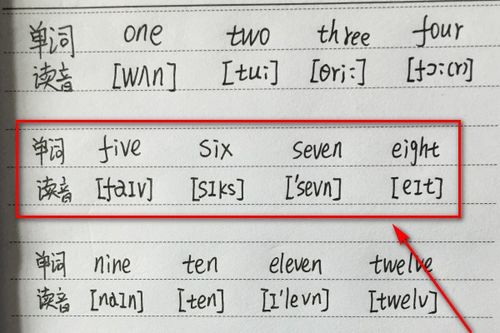 啍的读音及其组词怎么写
