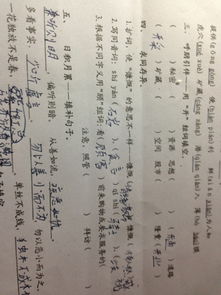 屁股的股怎么组词组词