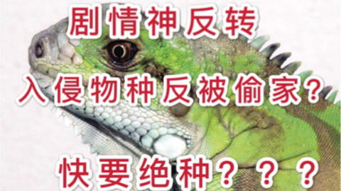 蛇麻蛇的蛇怎么组词