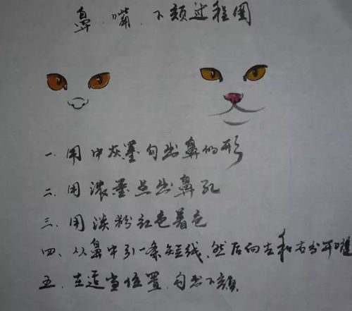 爪子的爪组词怎么组词