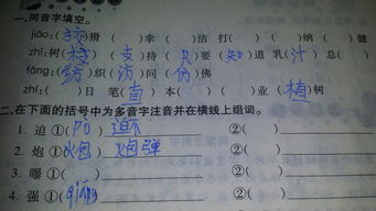 宾怎么组词填空