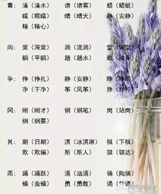 通其怎么组词
