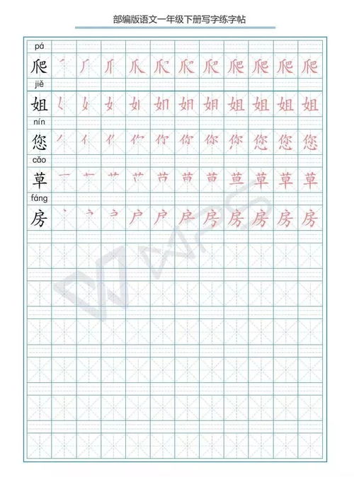 苟的笔顺及组词怎么写