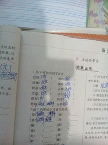 梁怎么组词语