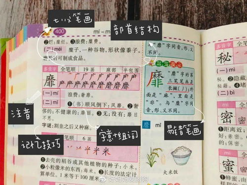 爆组词