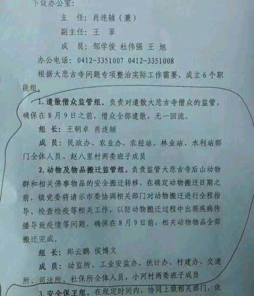 大悲怎么组词