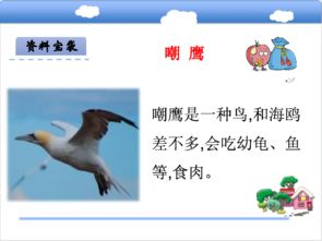 吁可以怎么组词yu