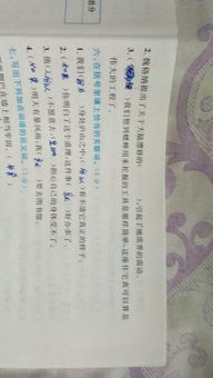 爪子组词