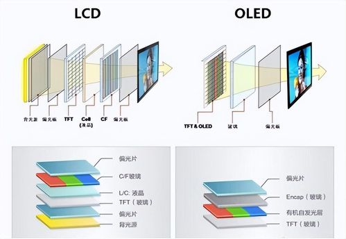电视屏的屏怎么组词