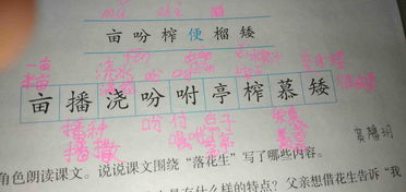 播怎么组词
