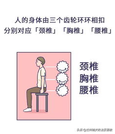 屁股的骨该怎么组词