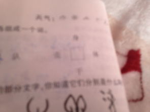 身身怎么组词