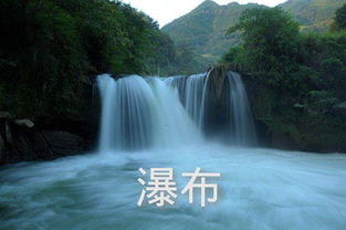 瀑布兔怎么组词